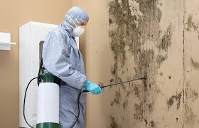 Best Residential Mold Inspection & Testing  in Excelsior Springs, MO